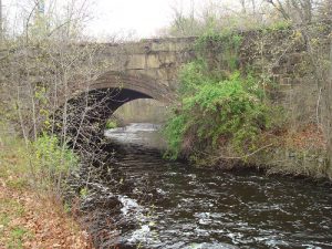 TEN MILE RIVER RAMBLES