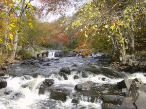 LTE: FRIENDS OF THE TEN MILE RIVER