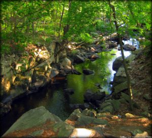 “TEN MILE RIVER RAMBLES”